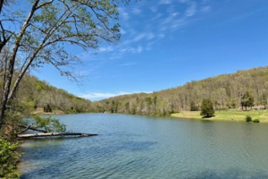 Grandmagate-Wood-7-2025